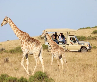Garden Route Safari in South Africa